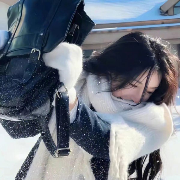 大内密探灵灵狗
